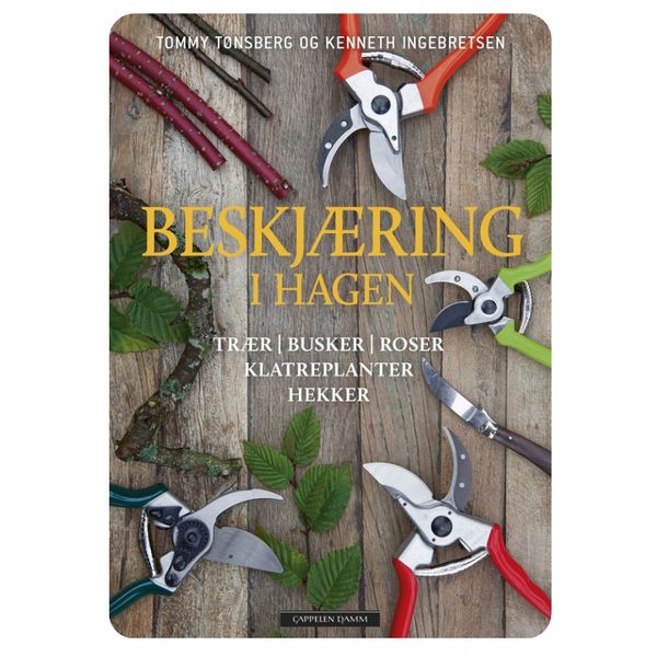 Beskjæring i hagen 