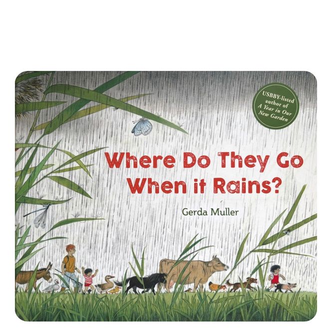Hovedbilde Where Do The Go When it Rains?