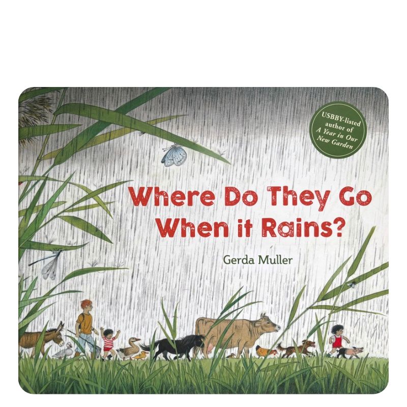 Where Do The Go When it Rains?
