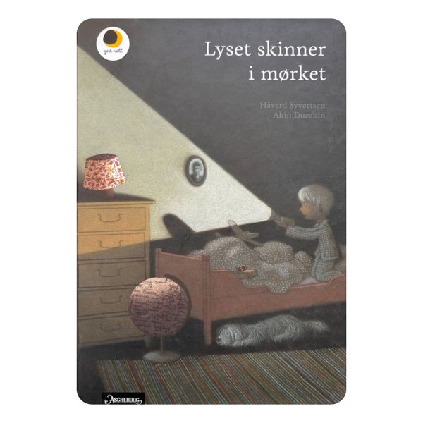 Lyset skinner i mørket 
