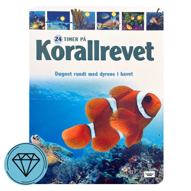 Hovedbilde 24 timer på Korallrevet