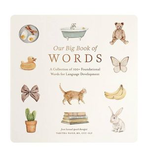 Hovedbilde Our Big Book of Words