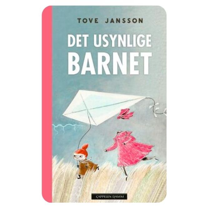 Hovedbilde Det usynlige barnet 