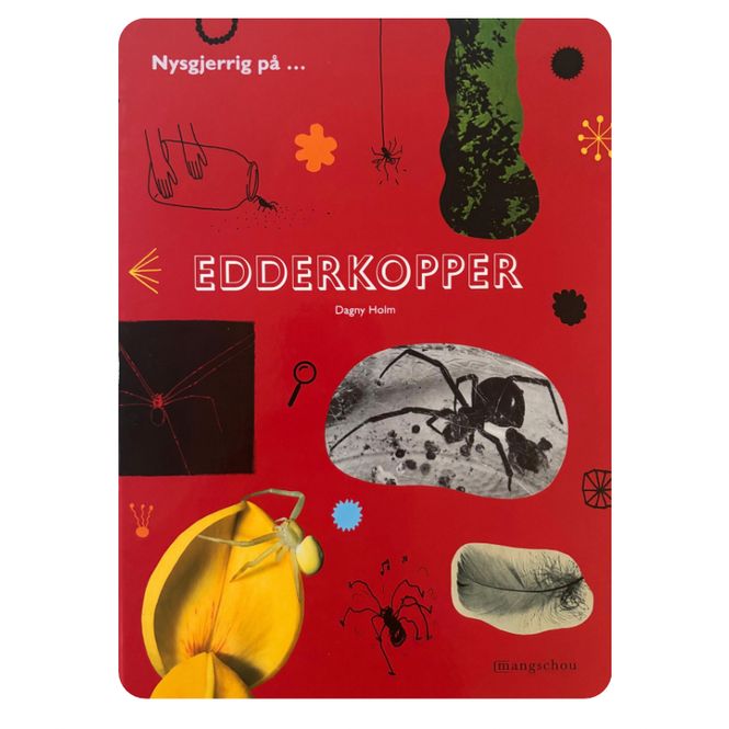 Hovedbilde Edderkopper 