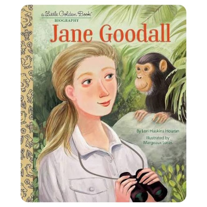 Hovedbilde Jane Goodall