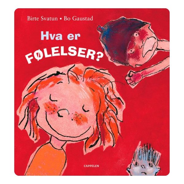 Hva er følelser? 